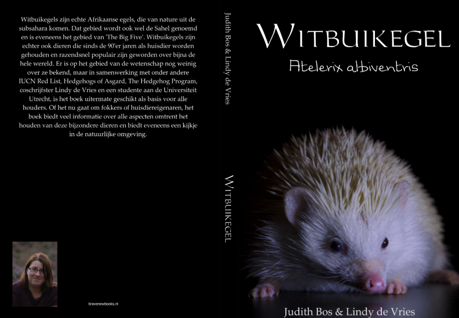 eBook Witbuikegel - Atelerix albiventris